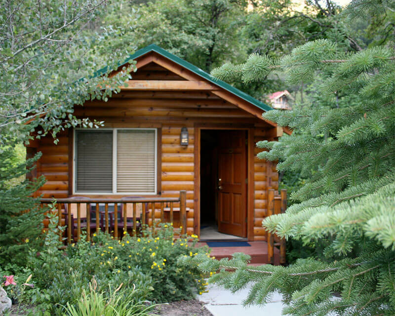 front porch of log cabin surrounded by greenery