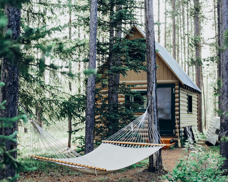 a hammock and cabin surrounded by green pine forests