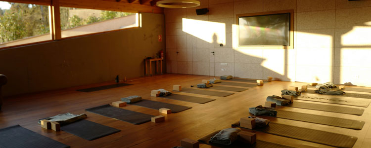 yoga mats on the floor of a sunny yoga studio